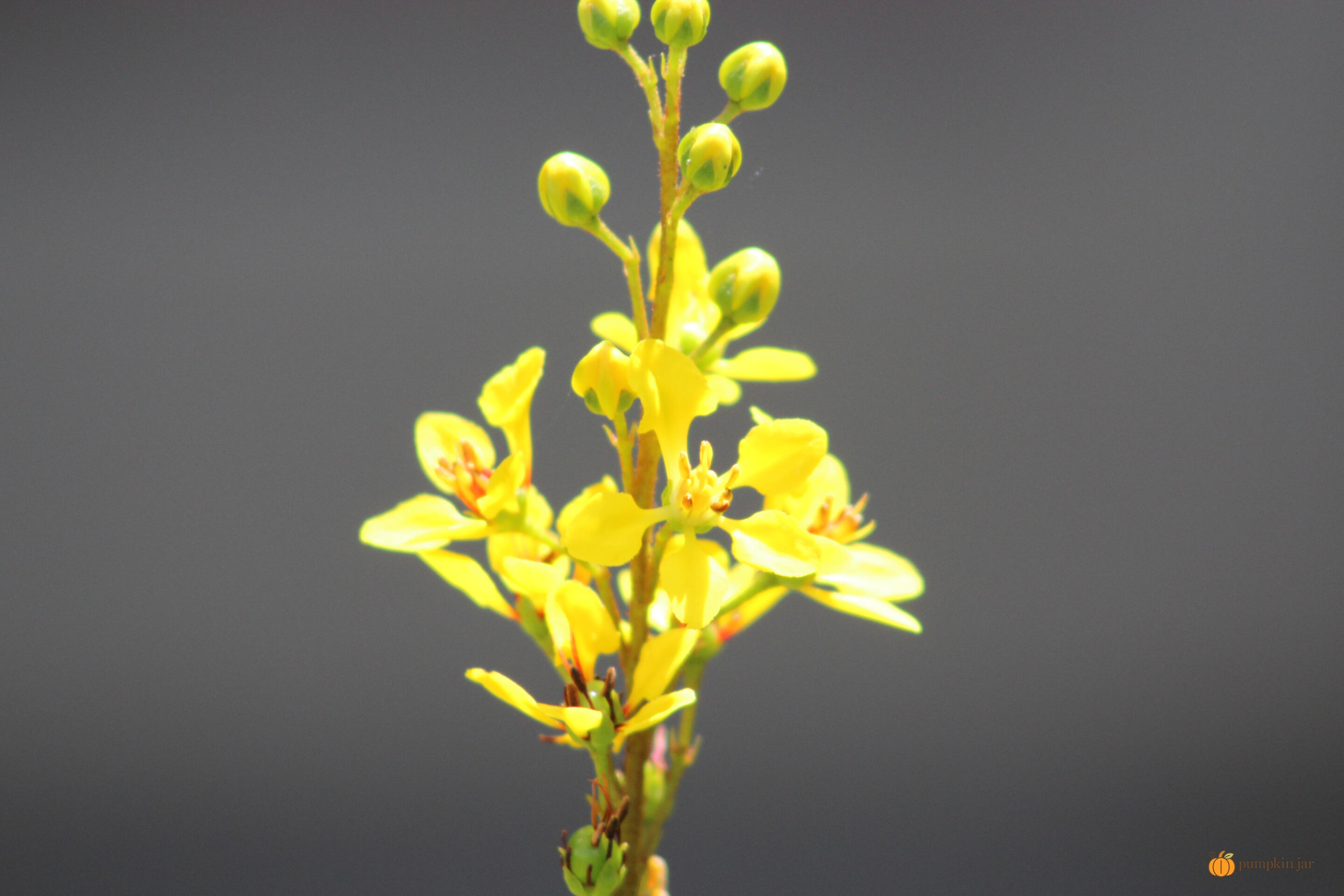 Creative Exploration