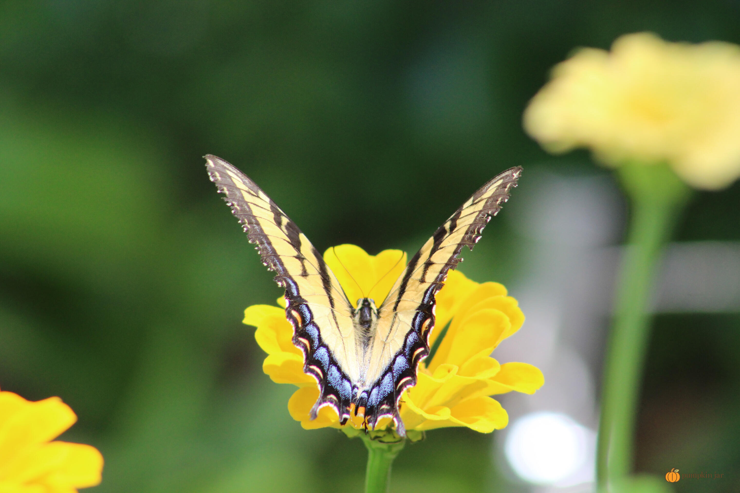 Leadership Development Studio